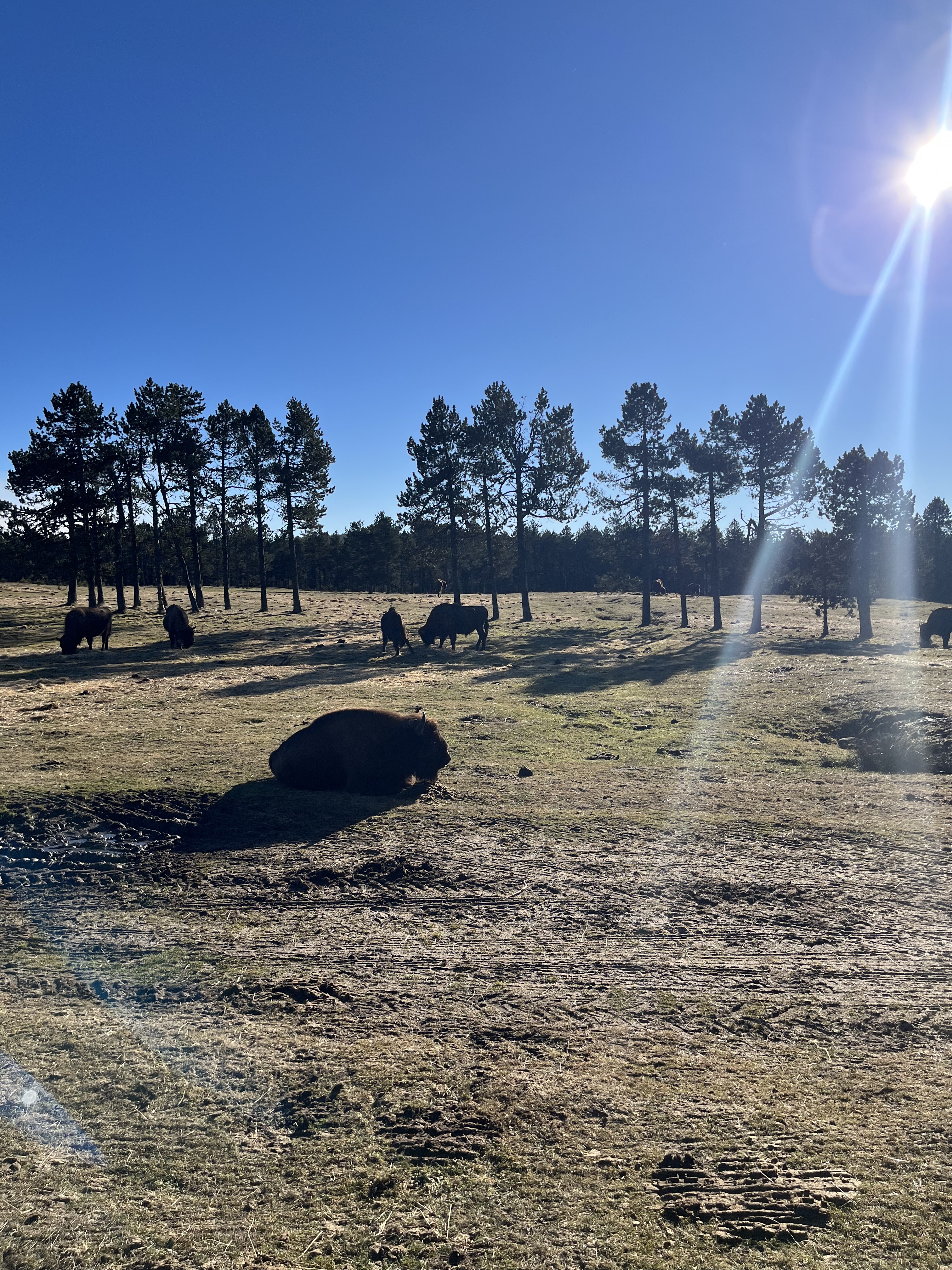 Photo n° 7 de l'avis de kerl.o fait le 06/01/2023 à 20:29