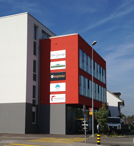 CSS Agentur Frauenfeld