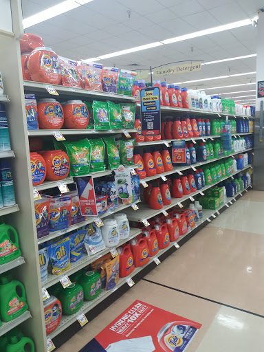 Grocery Store «Winn-Dixie», reviews and photos, 1360 Tampa Rd, Palm Harbor, FL 34683, USA