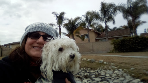 Park «Greer Park», reviews and photos, 6900 W McFadden Ave, Huntington Beach, CA 92647, USA