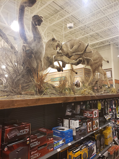 Cabelas image 6