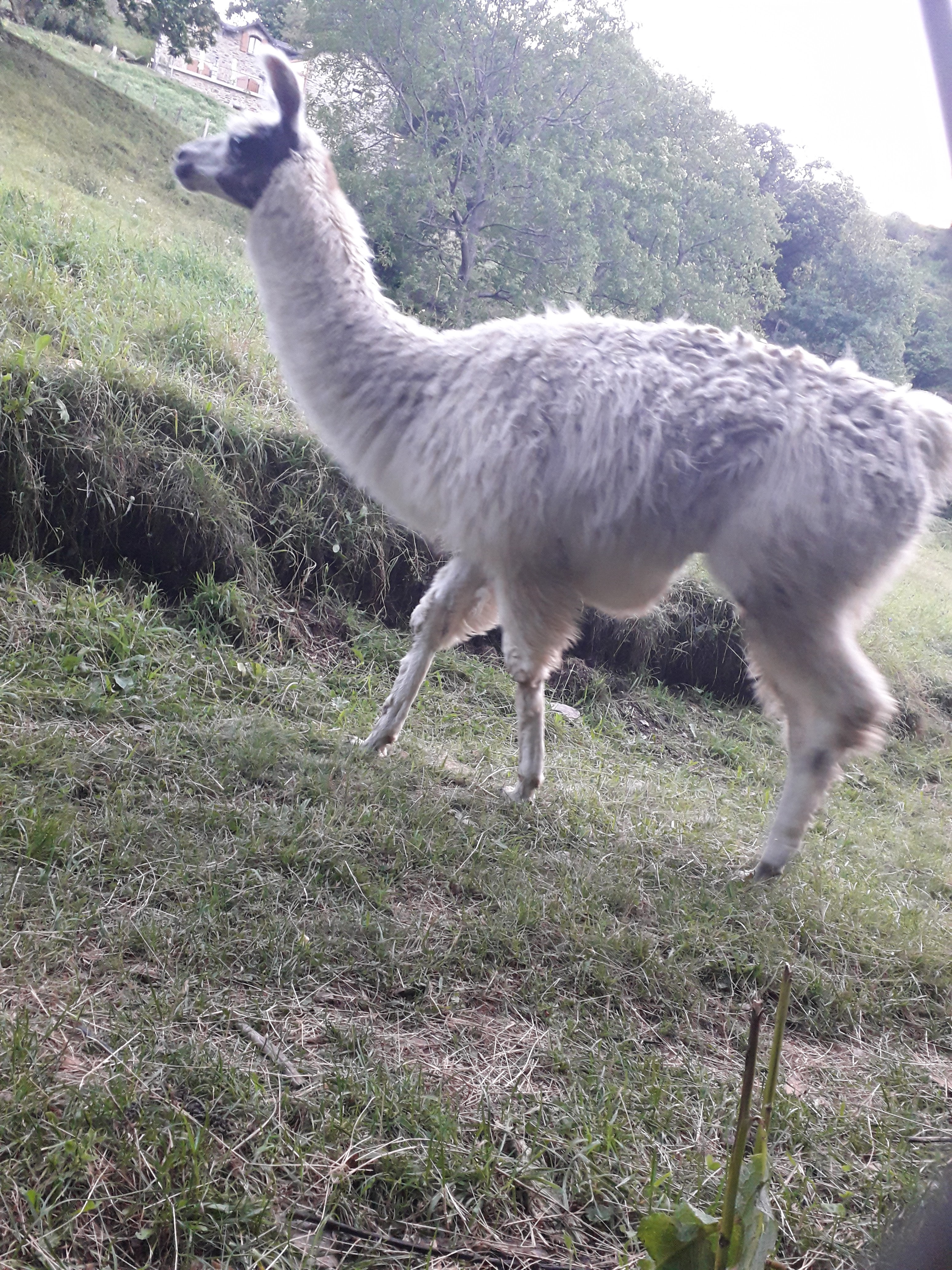 Photo n° 1 de l'avis de Ghost.e fait le 21/08/2018 à 09:57