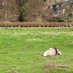 Photo n°1 de l'avis de Annett.f fait le 25/04/2023 à 08:51 sur le  Hotel Alte Schleiferei und Kunos Braugasthaus à Breitenbrunn