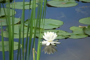 Tinker Nature Park / Hansen Nature Center image