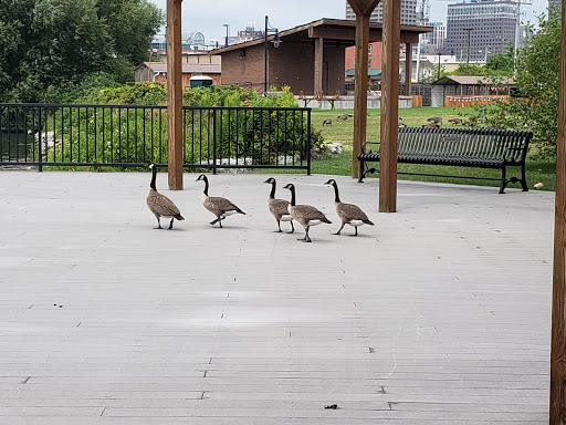 Park «River Fest Park», reviews and photos, 249 Ohio St, Buffalo, NY 14204, USA