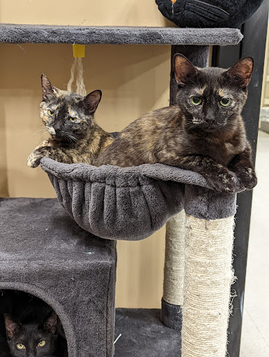 Pet Supply Store «PetSmart», reviews and photos, 1034 N El Camino Real, Encinitas, CA 92024, USA