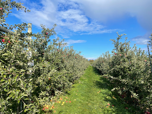 Farm «Alstede Farms», reviews and photos, 1 Alstede Farms Ln, Chester, NJ 07930, USA