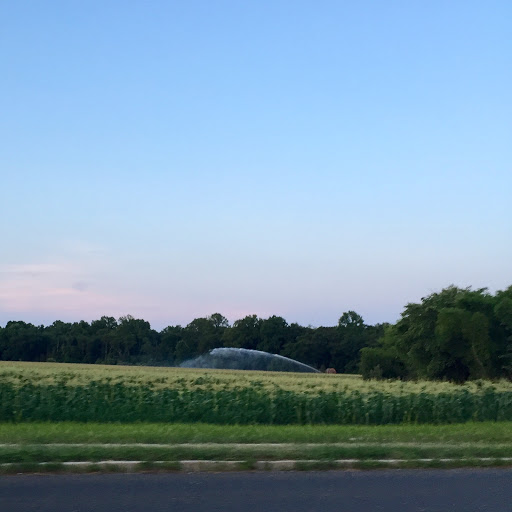 Produce Market «Stella Farms», reviews and photos, 459 Berlin New Freedom Rd, Berlin, NJ 08009, USA