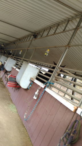 Park «Montebello Barnyard Zoo», reviews and photos, 600 Rea Dr, Montebello, CA 90640, USA