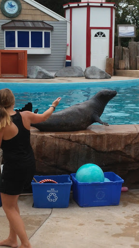 Zoo «Oceans of Fun», reviews and photos, 10001 W Bluemound Rd, Milwaukee, WI 53226, USA