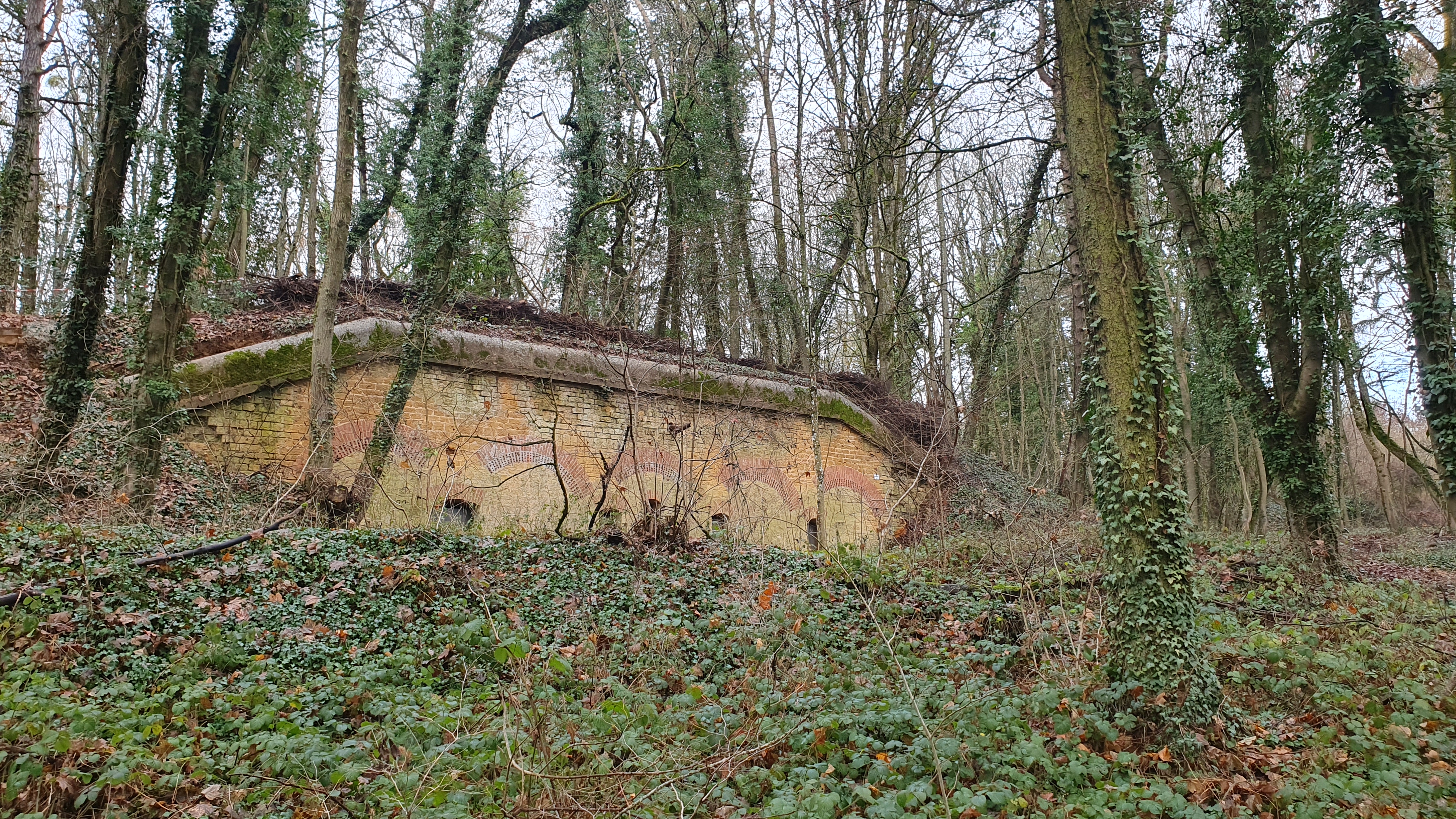 Photo n° 6 de l'avis de Patrick.l fait le 26/12/2022 à 11:59