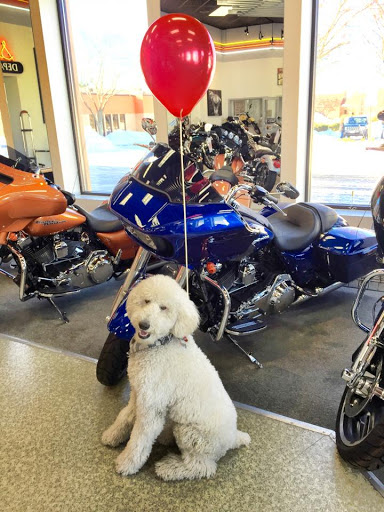 Motorcycle Dealer «Precision Harley-Davidson», reviews and photos, 269 Armistice Blvd, Pawtucket, RI 02860, USA