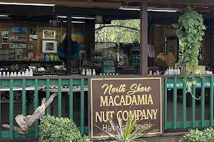 North Shore Macadamia Nut Company image