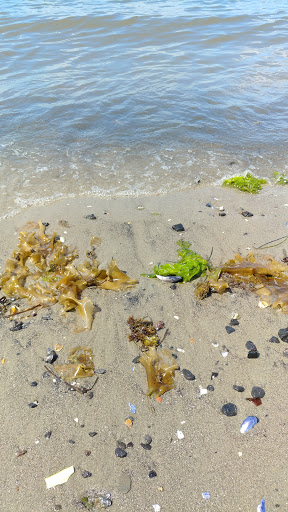 Fortress «Fort Preble», reviews and photos, Bunker Lane, South Portland, ME 04106, USA