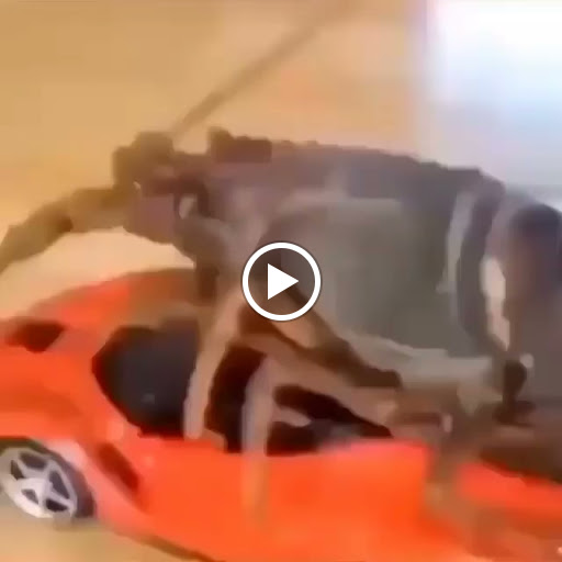 Sandwich Shop «Wawa», reviews and photos, 23141 Three Notch Rd, California, MD 20619, USA