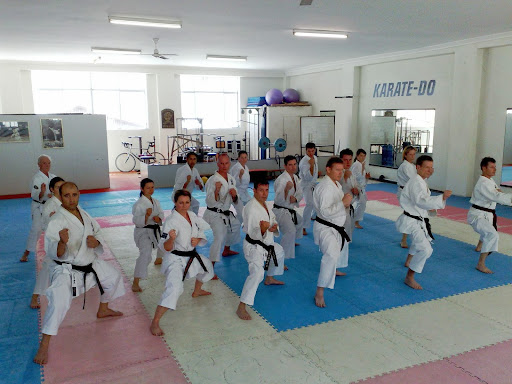 Brian Mackie's Goju-Kai Karate Academy of Japan