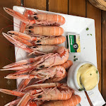 Photo n° 1 de l'avis de Cédric.o fait le 22/08/2021 à 15:25 pour Le Safran à Groix