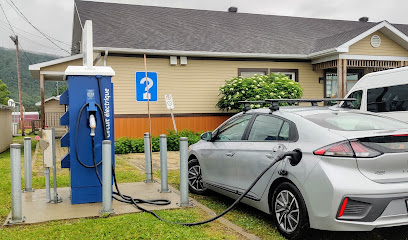 Circuit électrique Charging Station