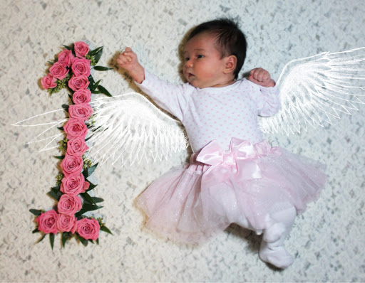 Florist «Lake Zurich Florist», reviews and photos, 34 E Main St, Lake Zurich, IL 60047, USA