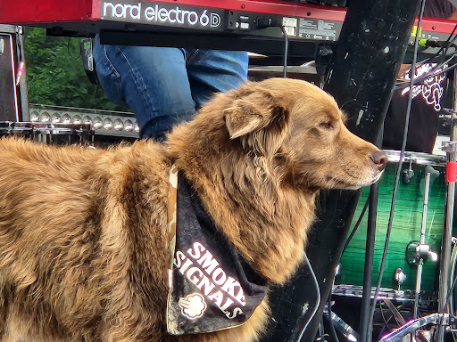 Restaurant «Salvage Station», reviews and photos, 468 Riverside Dr, Asheville, NC 28801, USA