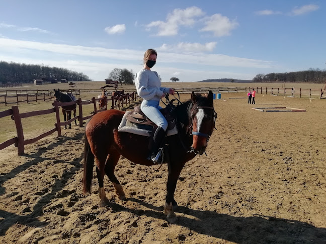 Értékelések erről a helyről: Texas Ranch, Budakeszi - Szórakozóhely