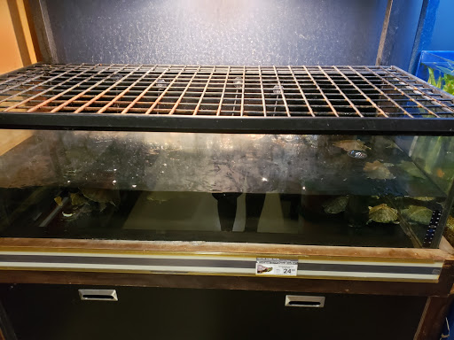 Pet Supply Store «Petco Animal Supplies», reviews and photos, 317 E Trenton Rd, Edinburg, TX 78539, USA