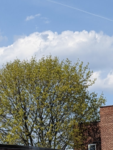 Supermarket «The Harrison Market», reviews and photos, 355 Halstead Ave, Harrison, NY 10528, USA