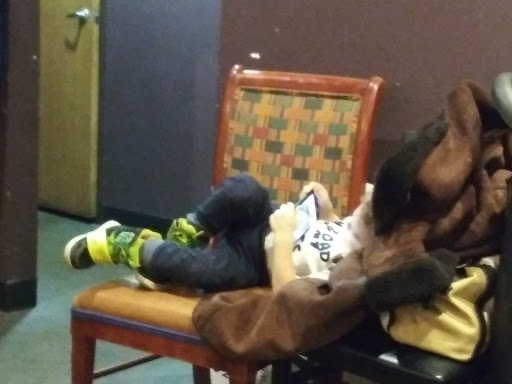 Middle Eastern Restaurant «Pita Peddler Mediterranean Bar & Grill», reviews and photos, 46610 Gratiot Ave, Chesterfield, MI 48051, USA