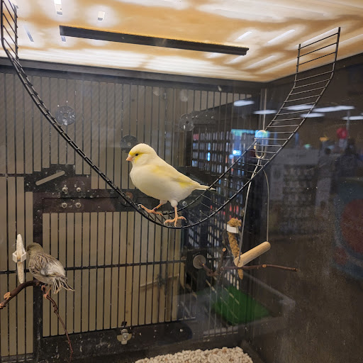 Pet Supply Store «PetSmart», reviews and photos, 8281 Troy Pike, Huber Heights, OH 45424, USA