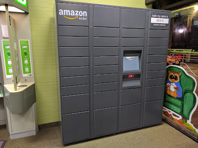 Amazon Hub Locker - Akira