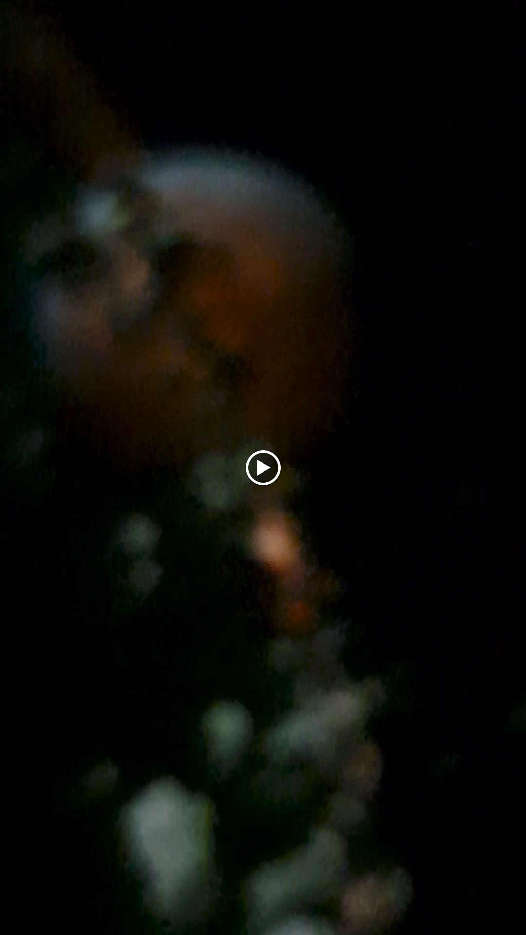 Photo n° 4 de l'avis de Vi. fait le 08/05/2023 à 11:49