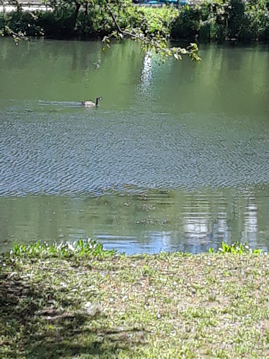 Park «Willson’s Woods Park», reviews and photos, 8 Bradford Rd, Mt Vernon, NY 10553, USA