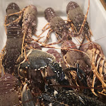 Photo n°1 de l'avis de Giuseppe.. fait le 19/08/2019 à 22:58 sur le  Ristorante A Due Passi Dal Mare à Torre Sibiliana