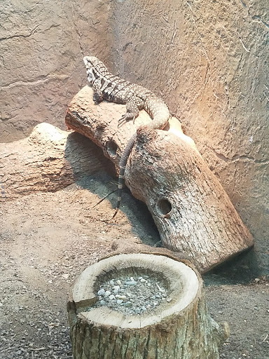 Pet Store «Lost Realms Pets», reviews and photos, 8059 N Cedar Ave, Fresno, CA 93720, USA