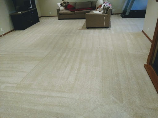 Best Carpet Cleaning in Omaha, Nebraska