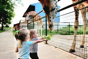 Wild Animal Safari - Springfield/Strafford, Missouri image