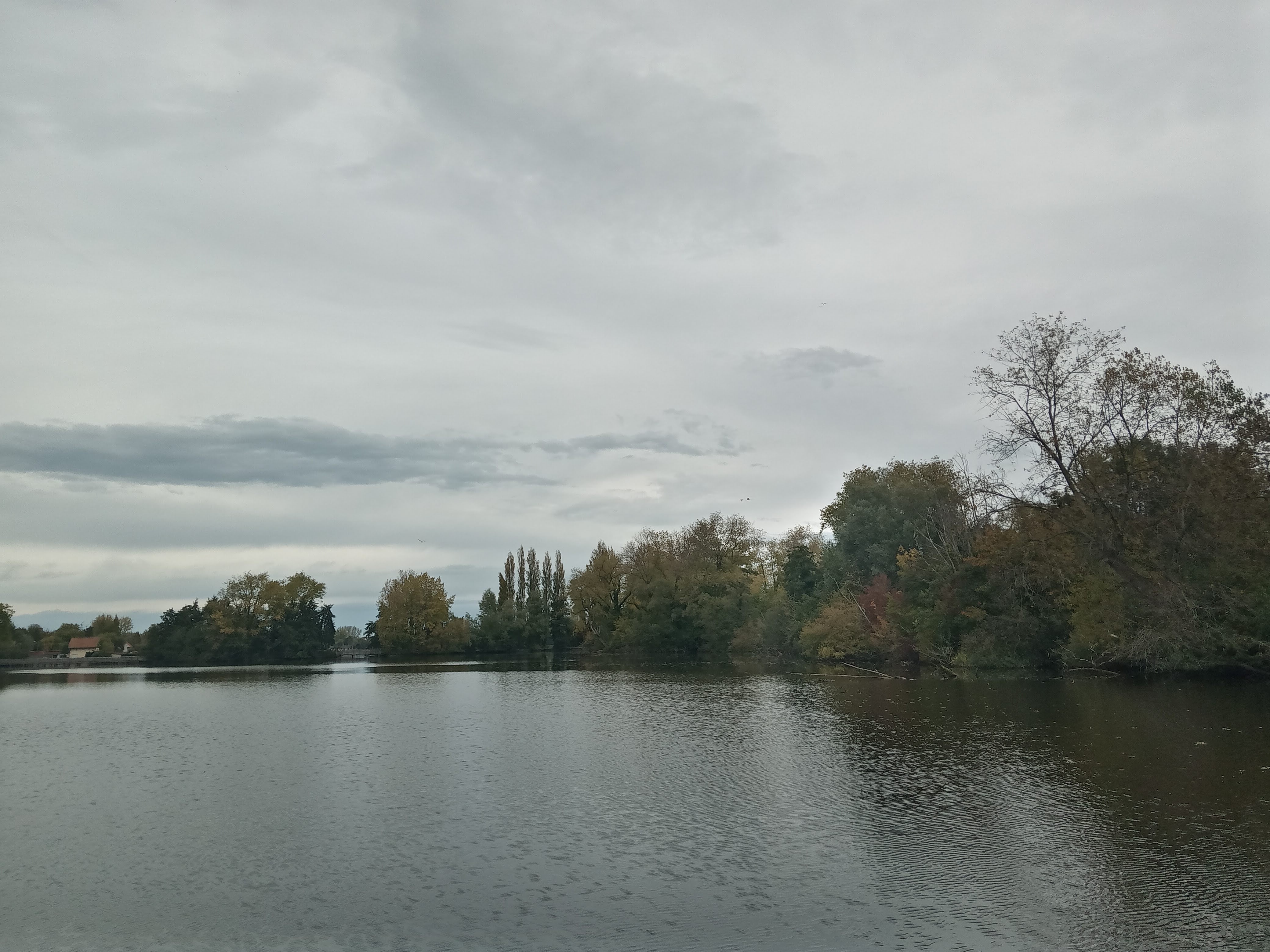 Photo n° 11 de l'avis de Nicolas.u fait le 23/10/2022 à 09:23