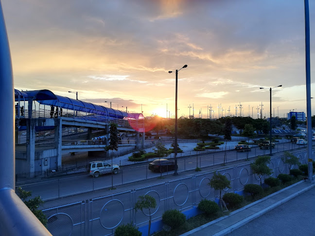 Opiniones de TÍA Terminal Terrestre en Guayaquil - Supermercado