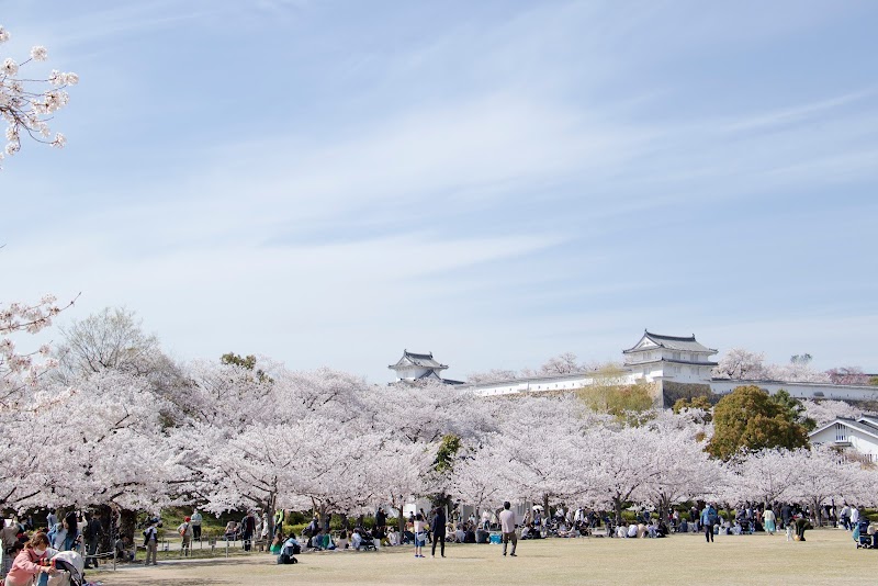 三の丸跡