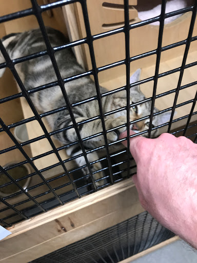 Pet Supply Store «Petco Animal Supplies», reviews and photos, 1591 Sloat Blvd, San Francisco, CA 94132, USA