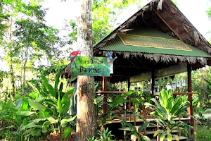 La Palapa Hut Nature Hostel image