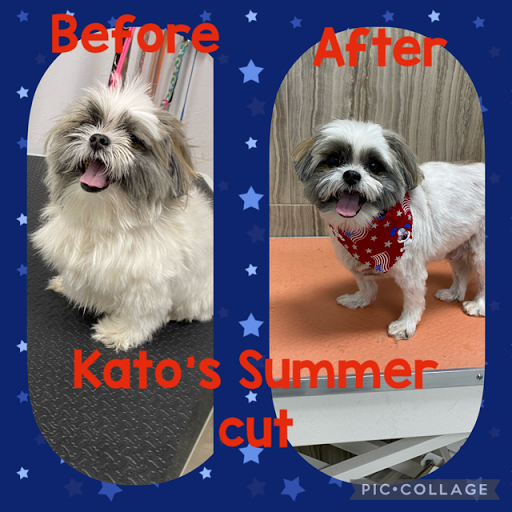 Pet Store «DipidyDawg Gourmet Dog Bakery & Boutique», reviews and photos, 21301 S Tamiami Trail Suite 430, Estero, FL 33928, USA