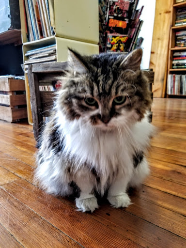 Record Store «Irvington Vinyl», reviews and photos, 9 Johnson Ave, Indianapolis, IN 46219, USA