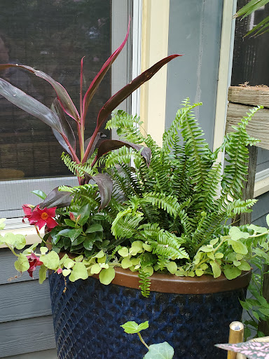 Home Improvement Store «The Home Depot», reviews and photos, 15800 Grove Cir N, Maple Grove, MN 55369, USA