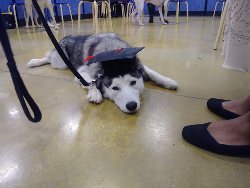 Pet Supply Store «PetSmart», reviews and photos, 11132 Abercorn St, Savannah, GA 31419, USA