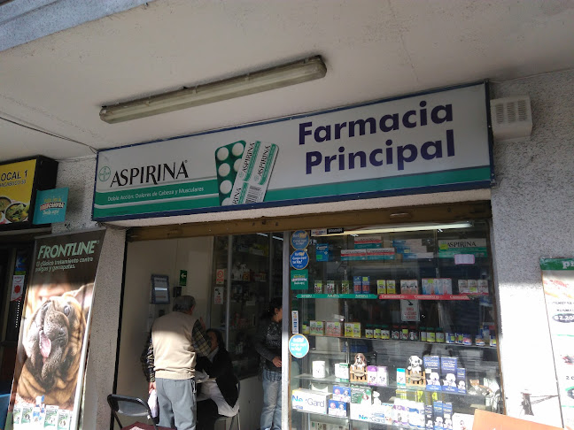 Farmacia Principal - Maipú