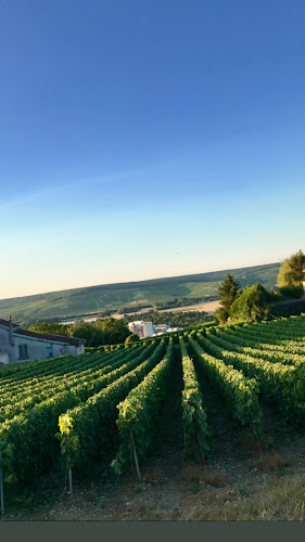 Le site naturel du Mont Bernon à Épernay