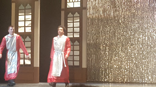 Performing Arts Theater «Levoy Theatre», reviews and photos, 126-130 N High St, Millville, NJ 08332, USA