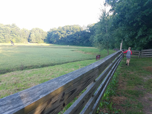 Nature Preserve «The Nature Trail and Cranberry Bog», reviews and photos, 252 Patriot Pl, Foxborough, MA 02035, USA