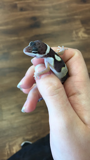 Pet Store «Pet Zone», reviews and photos, 1620 Marion-Mt Gilead Rd, Marion, OH 43302, USA